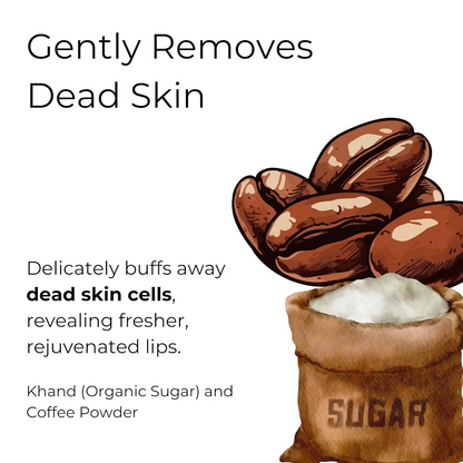 https://cdn.shopify.com/s/files/1/1857/6931/files/kwjr7QNRpG.png?v=1728537357
