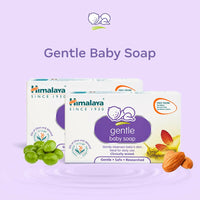 https://cdn.shopify.com/s/files/1/1857/6931/files/ky6WcnT2Zg.jpg?v=1725449499