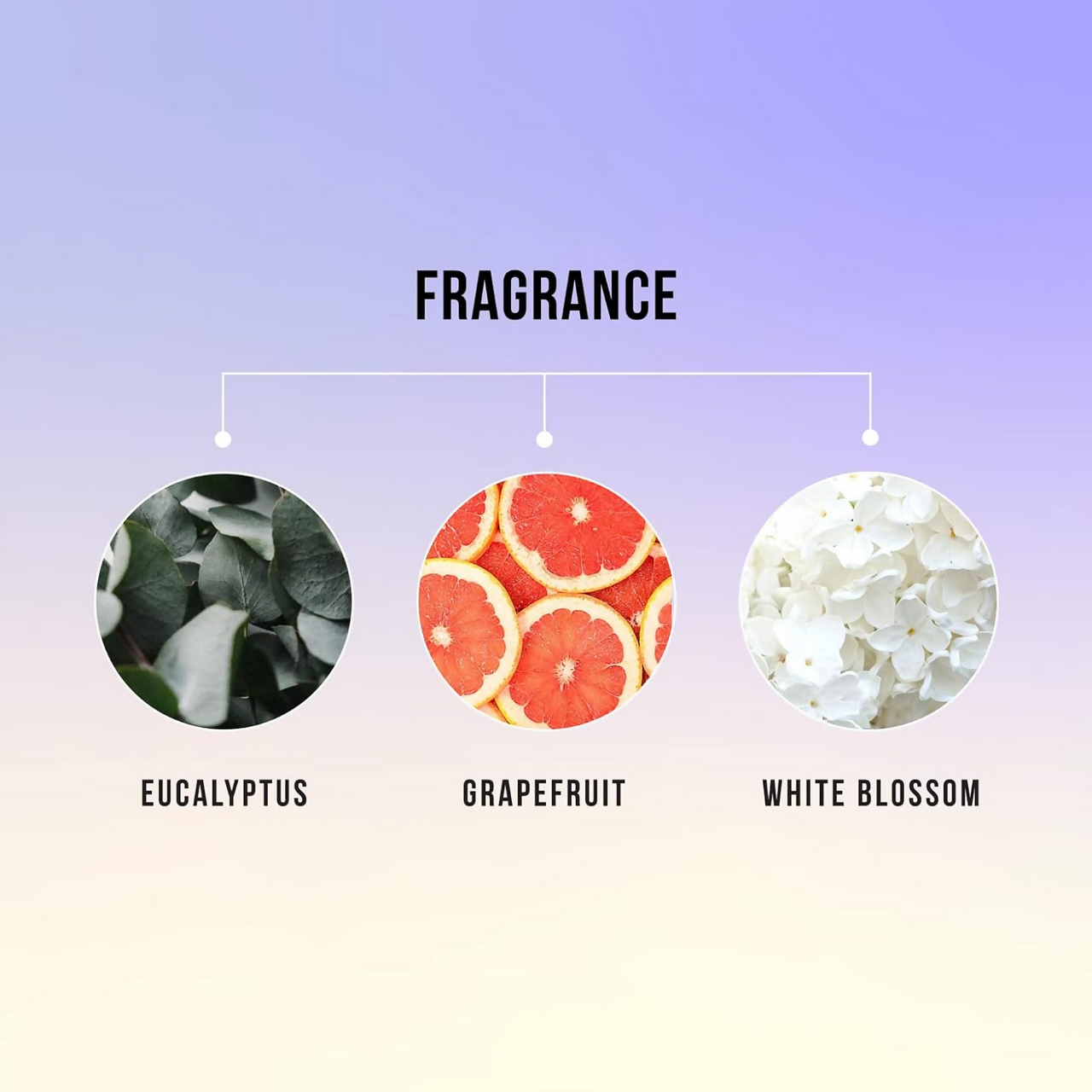 https://cdn.shopify.com/s/files/1/1857/6931/files/l0qrppShhy.png?v=1719401161