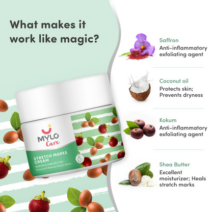 https://cdn.shopify.com/s/files/1/1857/6931/files/l1QVBWEWmQ.png?v=1737951829
