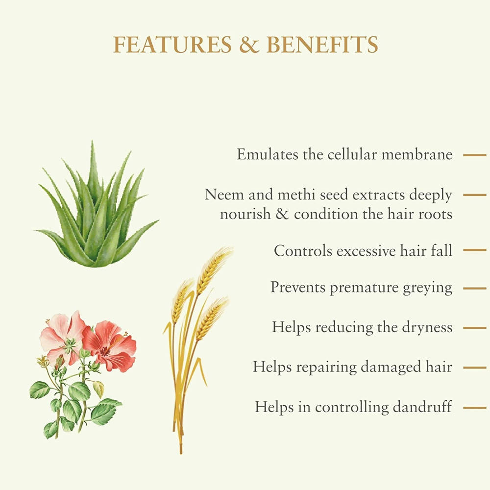 https://cdn.shopify.com/s/files/1/1857/6931/products/l2HqCUfrVV.jpg?v=1770614893