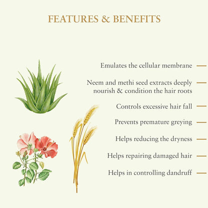https://cdn.shopify.com/s/files/1/1857/6931/products/l2HqCUfrVV.jpg?v=1770614893