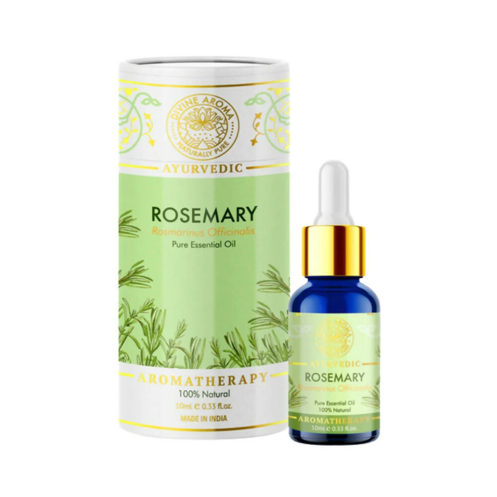https://cdn.shopify.com/s/files/1/1857/6931/products/l3R9qQTQKA.jpg?v=1668679767