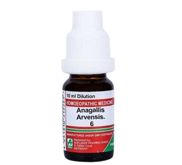 https://cdn.shopify.com/s/files/1/1857/6931/files/l4Byw1sMde-355110.jpg?v=1759311772