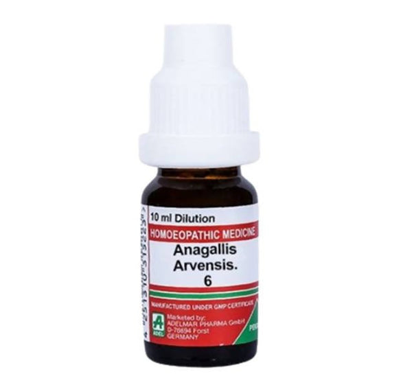 https://cdn.shopify.com/s/files/1/1857/6931/files/l4Byw1sMde-355110.jpg?v=1759311772