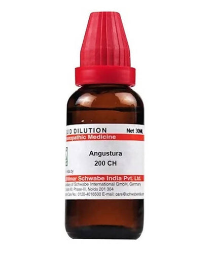 https://cdn.shopify.com/s/files/1/1857/6931/products/l57jYoh9PT.jpg?v=1640930279