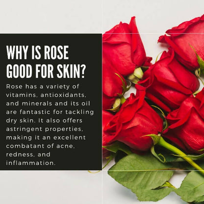 https://cdn.shopify.com/s/files/1/1857/6931/products/l5VHzUeiOT.jpg?v=1663674194