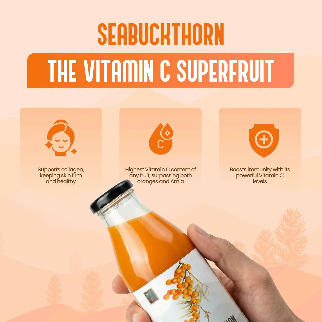 https://cdn.shopify.com/s/files/1/1857/6931/files/l6ZjOZOwqq.jpg?v=1770095139