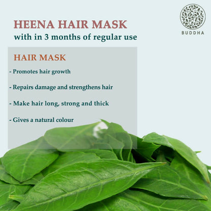 https://cdn.shopify.com/s/files/1/1857/6931/products/l6xJdF96Mv.jpg?v=1702468950