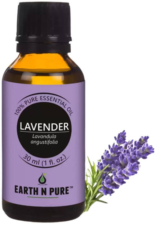 https://cdn.shopify.com/s/files/1/1857/6931/products/l7xF8CZ3ya.jpg?v=1646137985