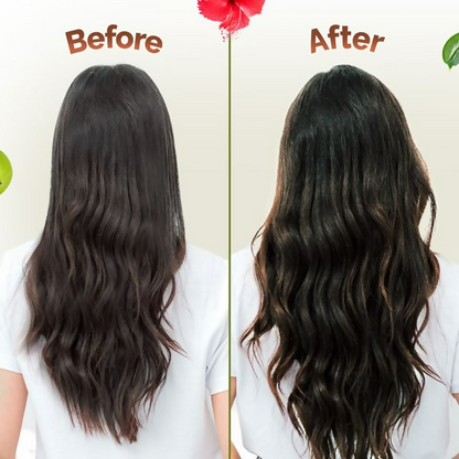 https://cdn.shopify.com/s/files/1/1857/6931/files/l82zPdJgfW.png?v=1719402263
