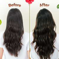 https://cdn.shopify.com/s/files/1/1857/6931/files/l82zPdJgfW.png?v=1719402263