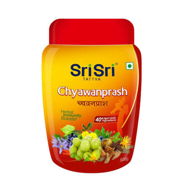 https://cdn.shopify.com/s/files/1/1857/6931/products/lB5PpAXeWL.jpg?v=1669116655