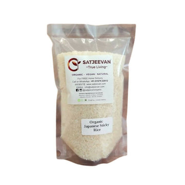 https://cdn.shopify.com/s/files/1/1857/6931/products/lCyN26OjNW.jpg?v=1707474835