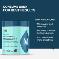 https://cdn.shopify.com/s/files/1/1857/6931/files/lDptZoFYou.jpg?v=1728473641