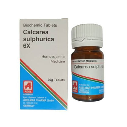 https://cdn.shopify.com/s/files/1/1857/6931/files/lGZpMTteso-246910.jpg?v=1736143318