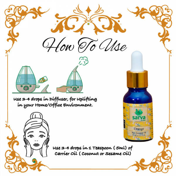 https://cdn.shopify.com/s/files/1/1857/6931/products/lH2ar96B7R.jpg?v=1670651841
