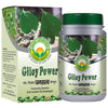 https://cdn.shopify.com/s/files/1/1857/6931/products/lIBKov5nIT.jpg?v=1634716338
