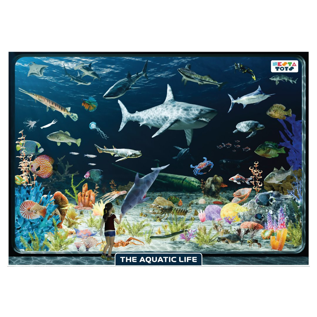 https://cdn.shopify.com/s/files/1/1857/6931/files/lJXG44hqV5.png?v=1754617638