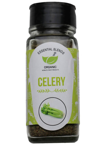 https://cdn.shopify.com/s/files/1/1857/6931/products/lLDBmigNsS.jpg?v=1654953122