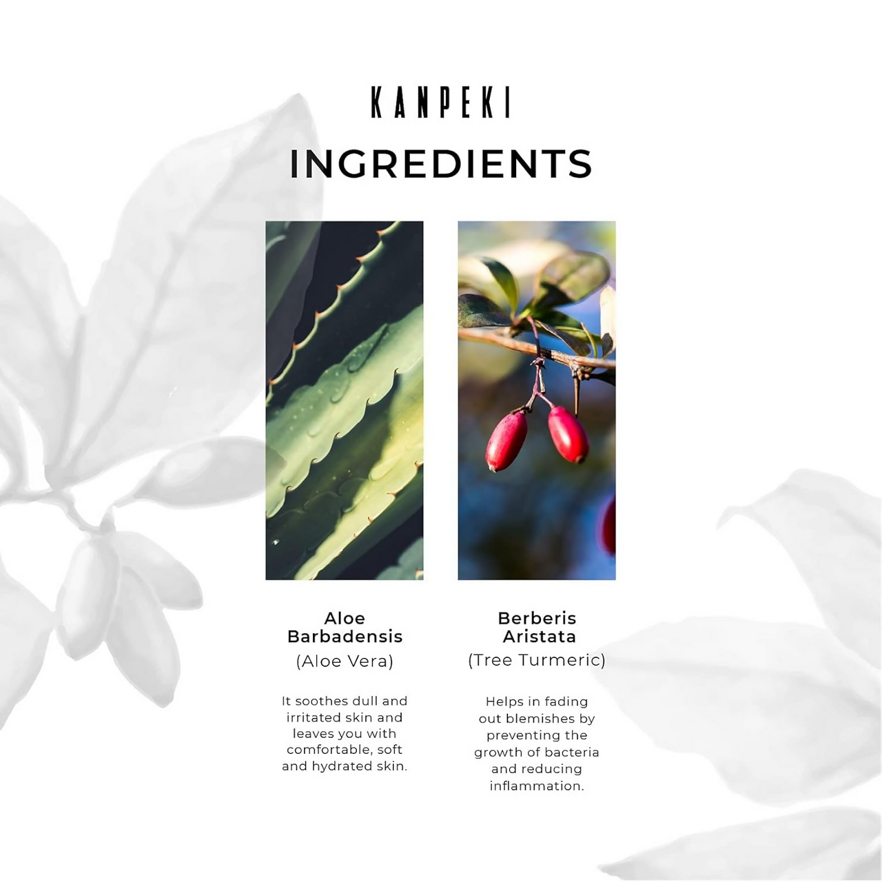 https://cdn.shopify.com/s/files/1/1857/6931/files/lLlKlWIyds.png?v=1728293522