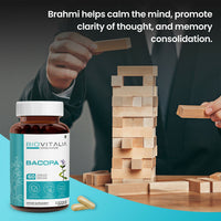 https://cdn.shopify.com/s/files/1/1857/6931/files/lMlSvQjrYK.jpg?v=1727523256