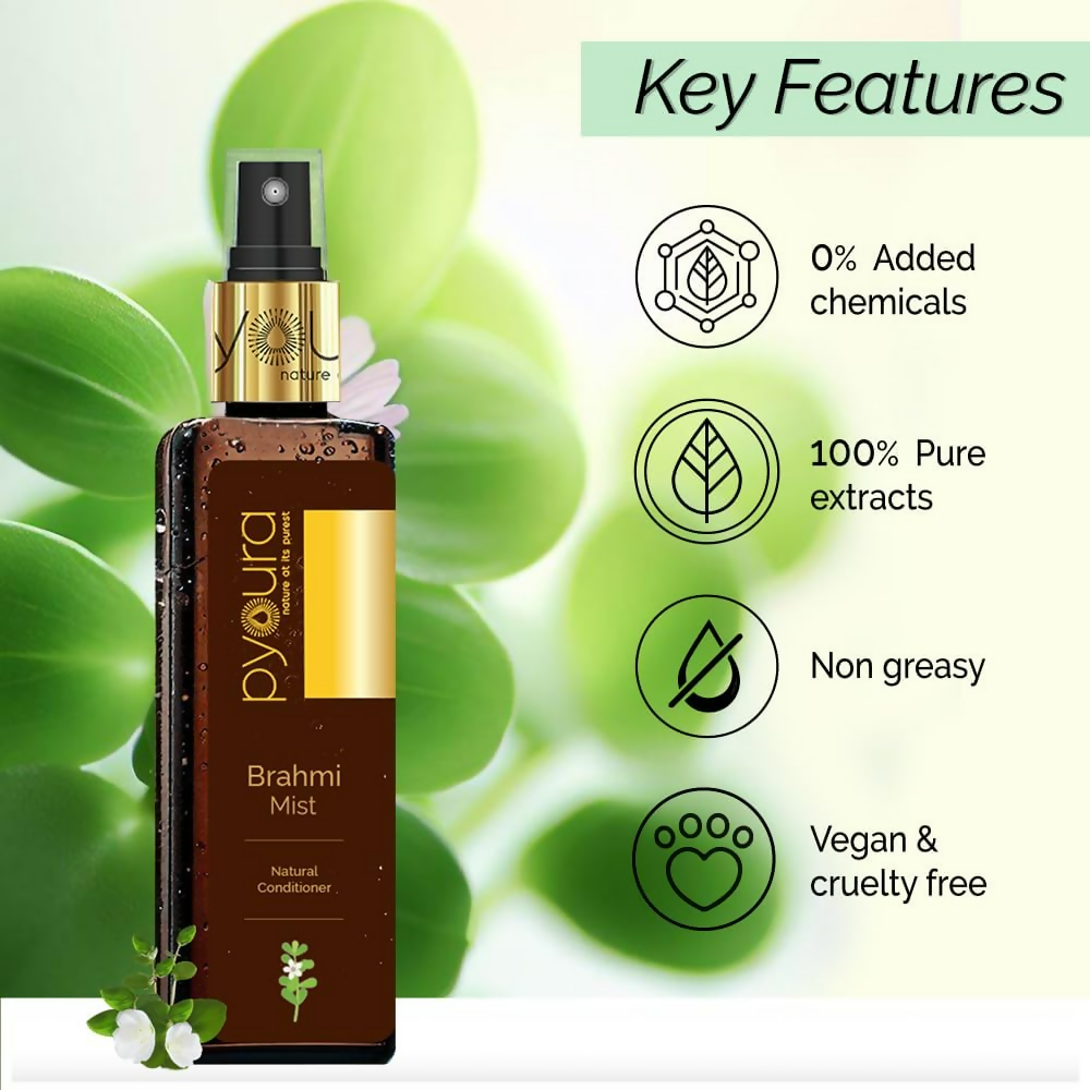 https://cdn.shopify.com/s/files/1/1857/6931/files/lNPbus2EKU.png?v=1731317984