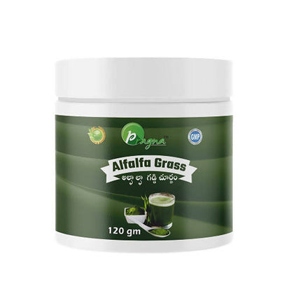 https://cdn.shopify.com/s/files/1/1857/6931/products/lNbbO352gI.jpg?v=1645189893