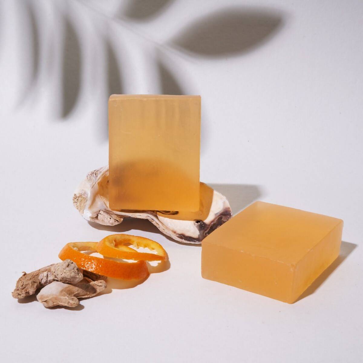https://cdn.shopify.com/s/files/1/1857/6931/products/lOiIVeZcZT.jpg?v=1710410370