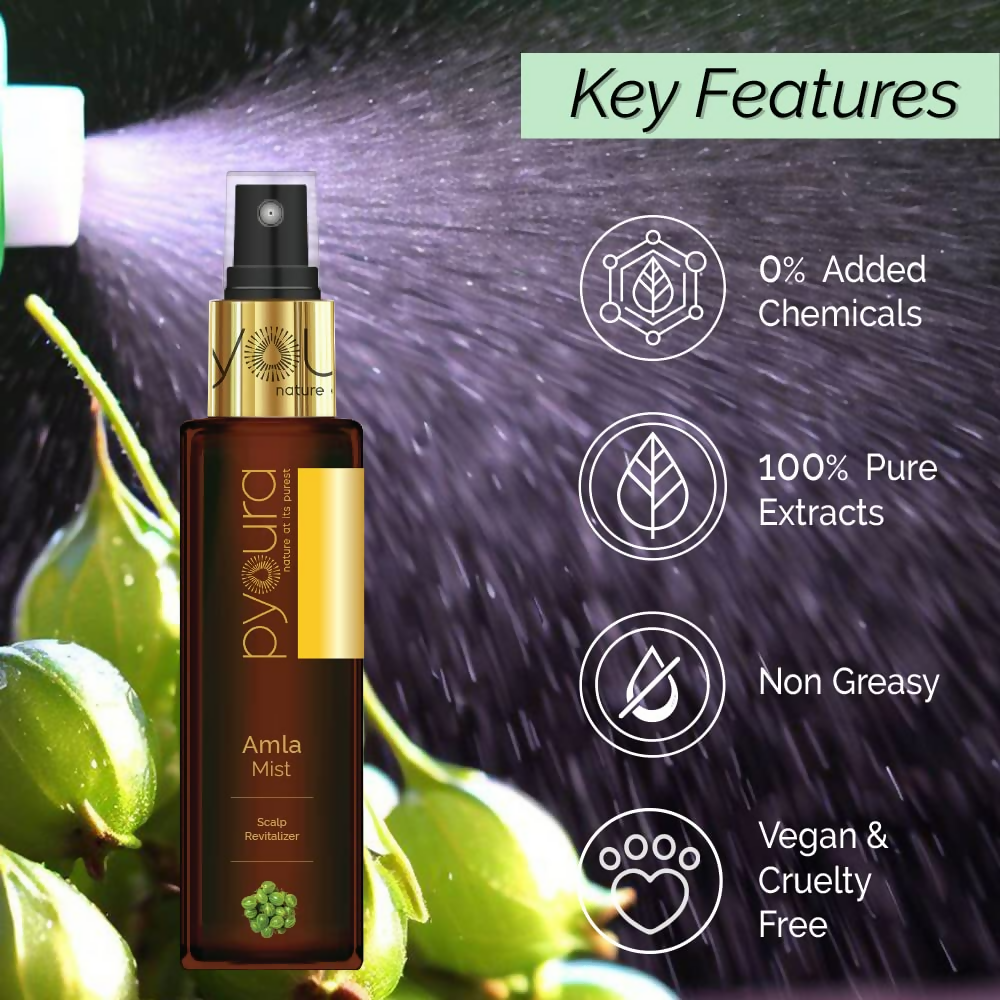 https://cdn.shopify.com/s/files/1/1857/6931/files/lViOnoEIvS.png?v=1731318050