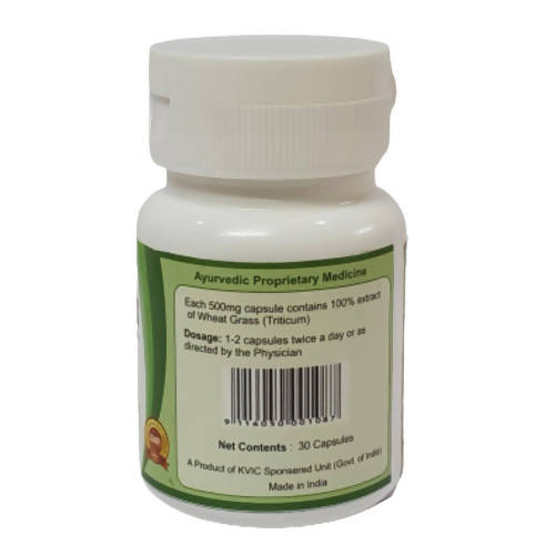 https://cdn.shopify.com/s/files/1/1857/6931/products/lWnXURxRlj.jpg?v=1657366751