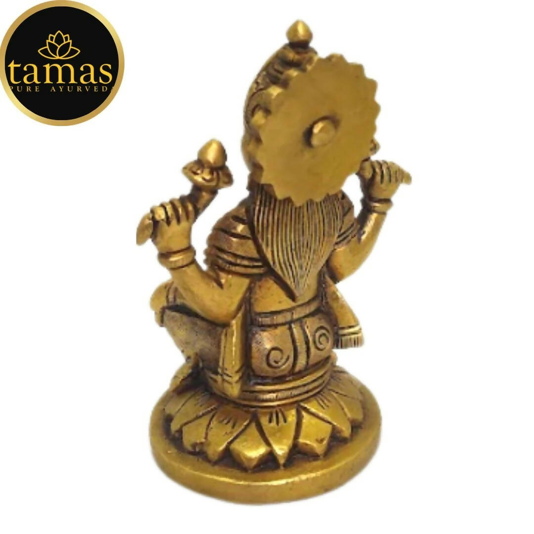 https://cdn.shopify.com/s/files/1/1857/6931/products/lXlhouzoyU.jpg?v=1681468297
