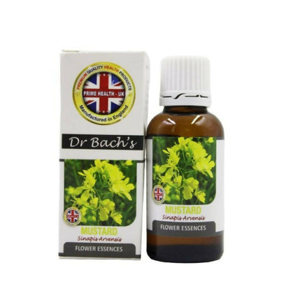 https://cdn.shopify.com/s/files/1/1857/6931/products/lbU2PAojU8.jpg?v=1759374068