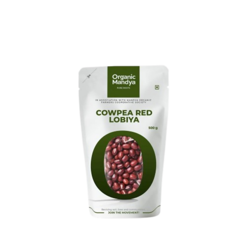 https://cdn.shopify.com/s/files/1/1857/6931/files/lbhXKsVVt0.png?v=1772888036