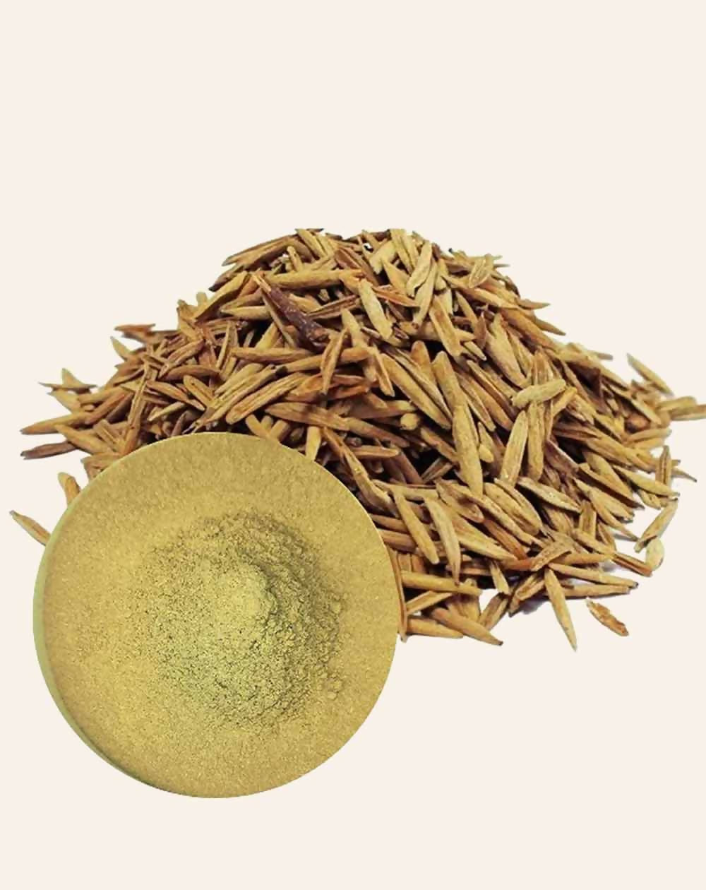 https://cdn.shopify.com/s/files/1/1857/6931/files/lbrFsi9yrp.jpg?v=1761811042