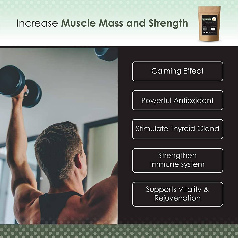 https://cdn.shopify.com/s/files/1/1857/6931/products/lcfNse3pbn.jpg?v=1646811175