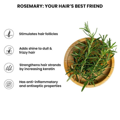 https://cdn.shopify.com/s/files/1/1857/6931/files/ldpmrkiPBj.jpg?v=1723469133