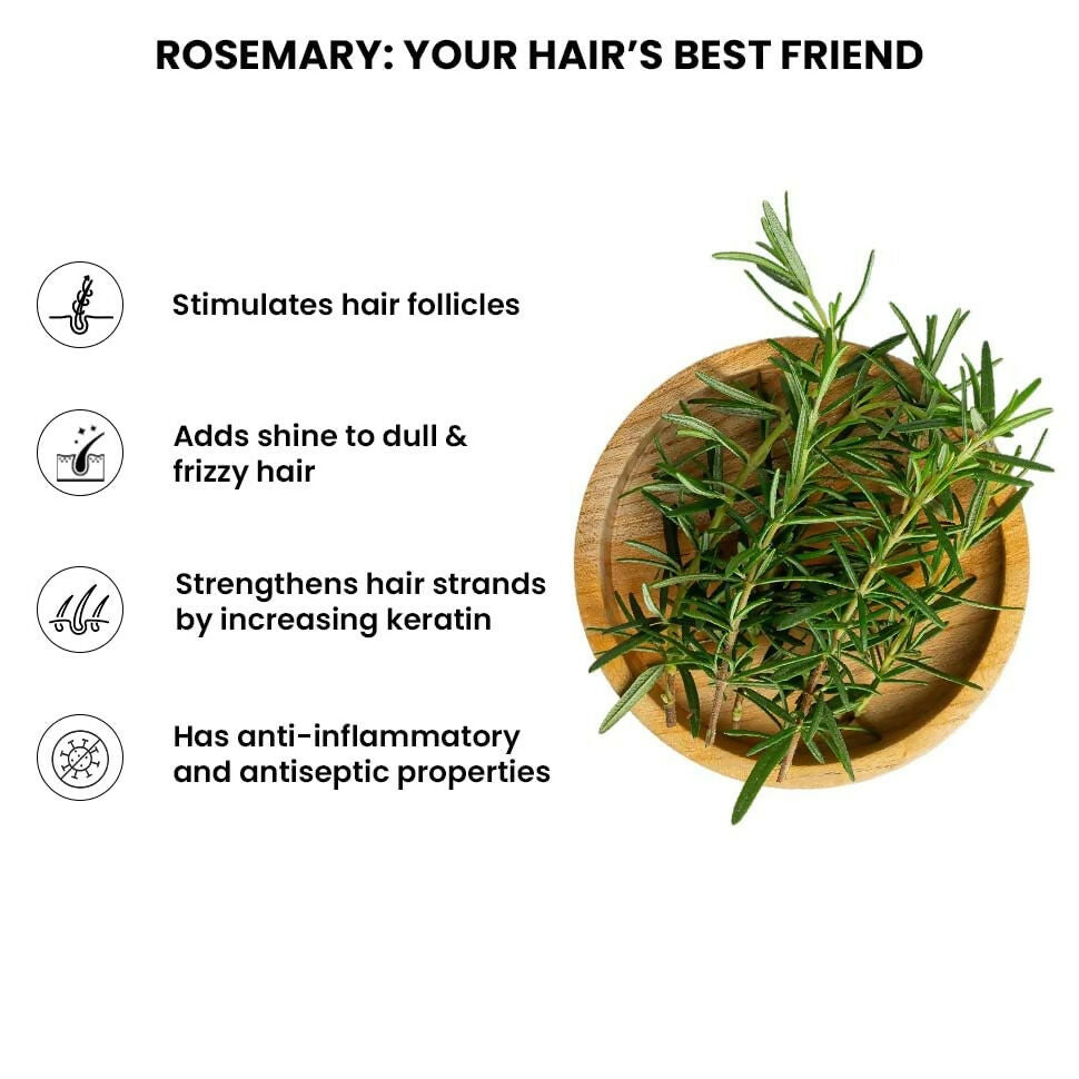 https://cdn.shopify.com/s/files/1/1857/6931/files/ldpmrkiPBj.jpg?v=1723469133