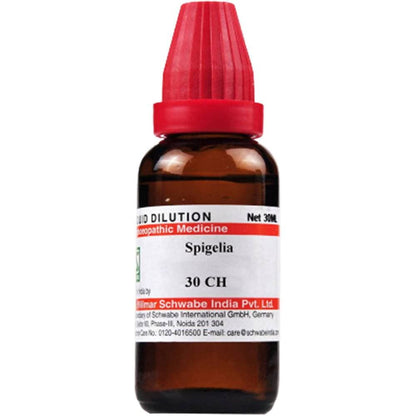 https://cdn.shopify.com/s/files/1/1857/6931/products/lexWZQytib.jpg?v=1613911832