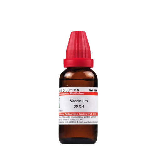 Image 1 of 30 CH / 30 ml for the product Dr. Willmar Schwabe India Vaccinium Dilution