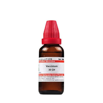 https://cdn.shopify.com/s/files/1/1857/6931/products/lhX8MdqFrs.jpg?v=1640858558