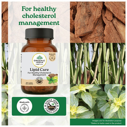 https://cdn.shopify.com/s/files/1/1857/6931/files/lipid_care_4.jpg?v=1763547694