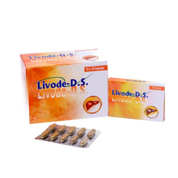 https://cdn.shopify.com/s/files/1/1857/6931/files/livode1.jpg?v=1759306351