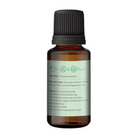 https://cdn.shopify.com/s/files/1/1857/6931/products/ljRDJqp8c1.jpg?v=1665057799
