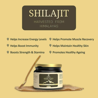 https://cdn.shopify.com/s/files/1/1857/6931/products/lkTgJCNLLh.jpg?v=1693986151