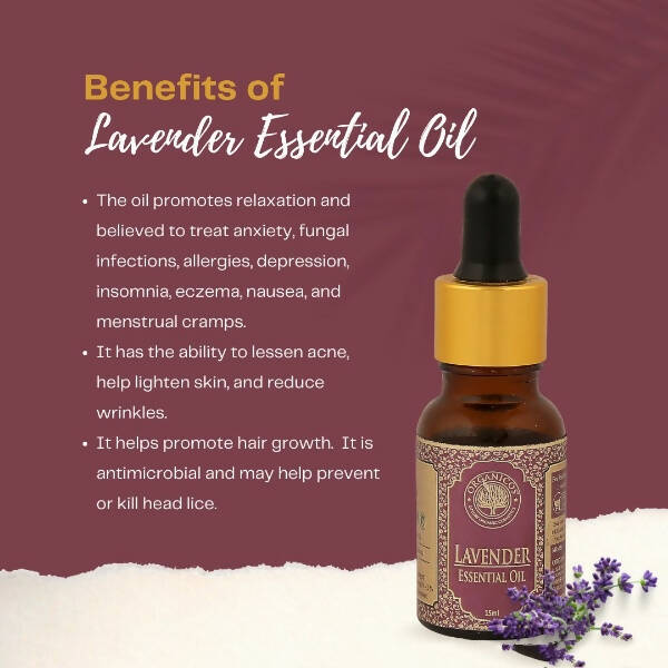 https://cdn.shopify.com/s/files/1/1857/6931/products/llxwW2sqfb.jpg?v=1663827455