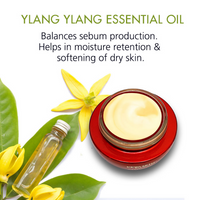 https://cdn.shopify.com/s/files/1/1857/6931/files/lwQGByHhpQ.png?v=1724673759