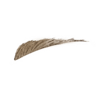 https://cdn.shopify.com/s/files/1/1857/6931/files/m02FwuYNvQ.png?v=1739610707