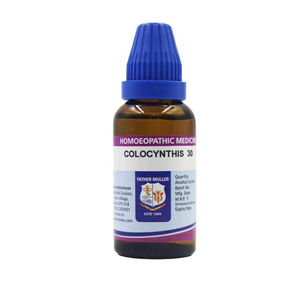 https://cdn.shopify.com/s/files/1/1857/6931/files/m0jt5k65BU.jpg?v=1719042981