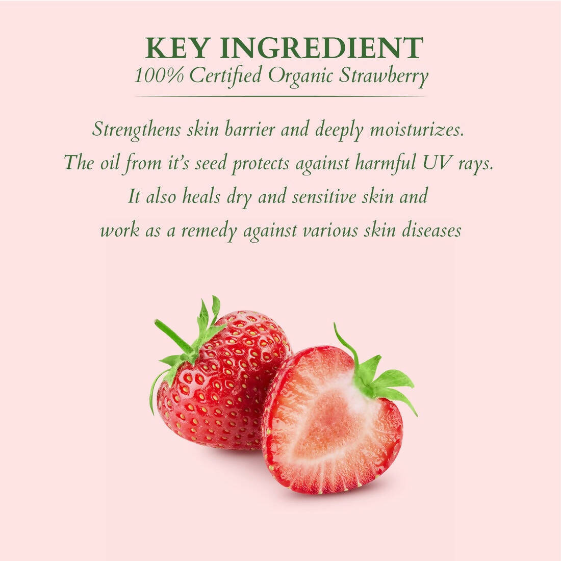 https://cdn.shopify.com/s/files/1/1857/6931/products/m2r6SjmaIy.jpg?v=1697176223